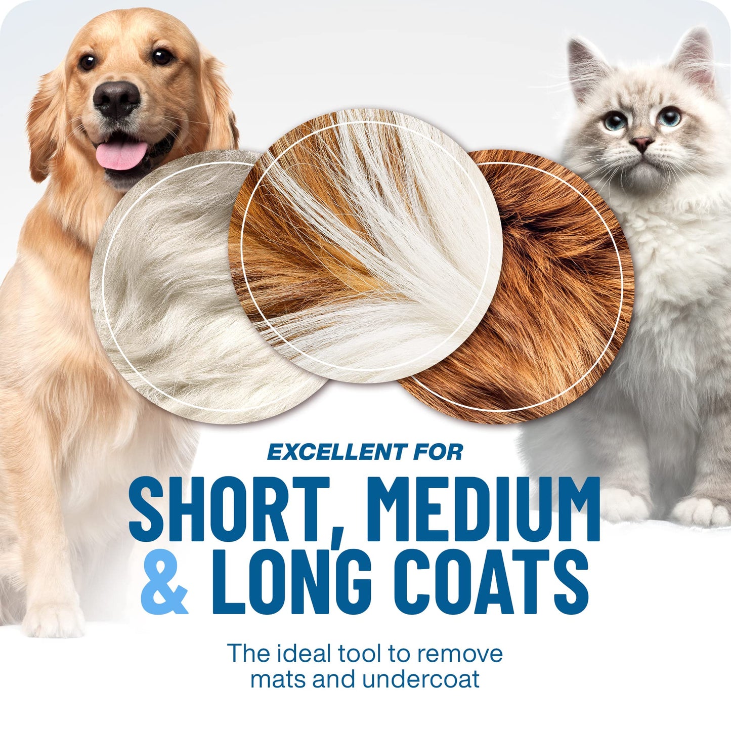 ⏰🔥SCONTO DEL 50% PER UN PERIODO LIMITATO!🔥OLTRE 50K+ VENDUTE!Spazzola professionale anti-muta per cani e gatti