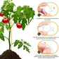 🗜️Clip per piante rampicanti – Fascette in plastica per pomodori e fermagli per piante 🌱🍅