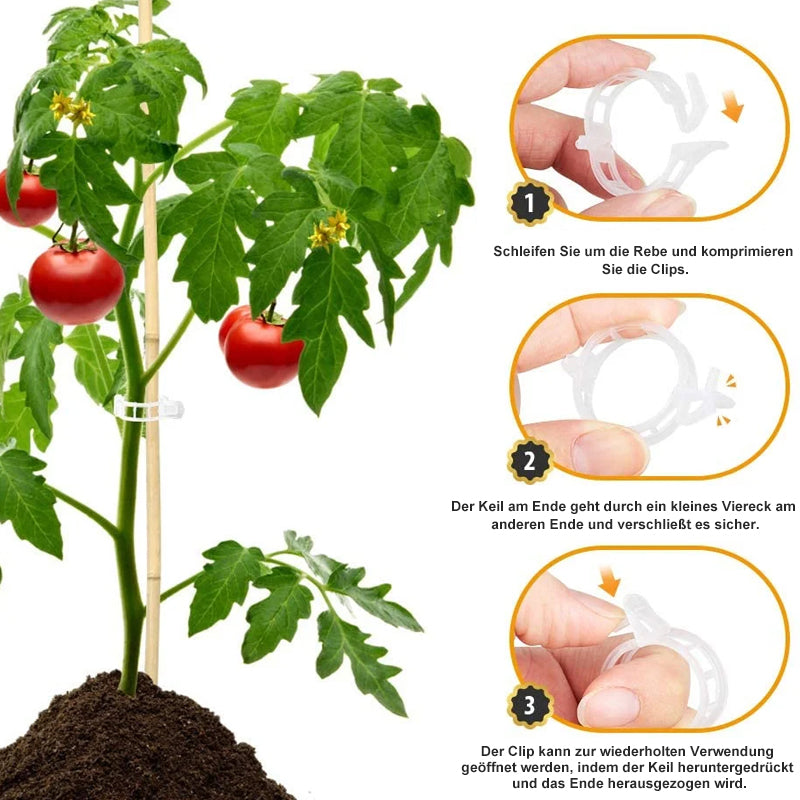 🗜️Clip per piante rampicanti – Fascette in plastica per pomodori e fermagli per piante 🌱🍅