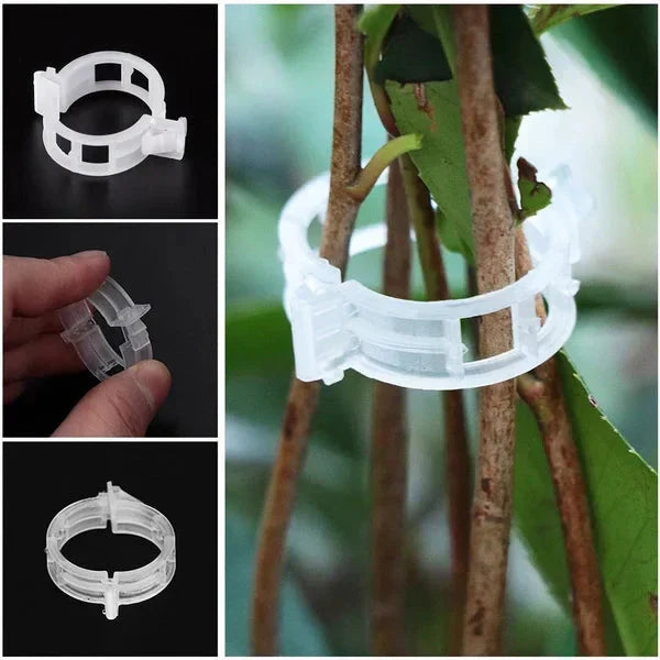 🗜️Clip per piante rampicanti – Fascette in plastica per pomodori e fermagli per piante 🌱🍅