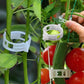 🗜️Clip per piante rampicanti – Fascette in plastica per pomodori e fermagli per piante 🌱🍅