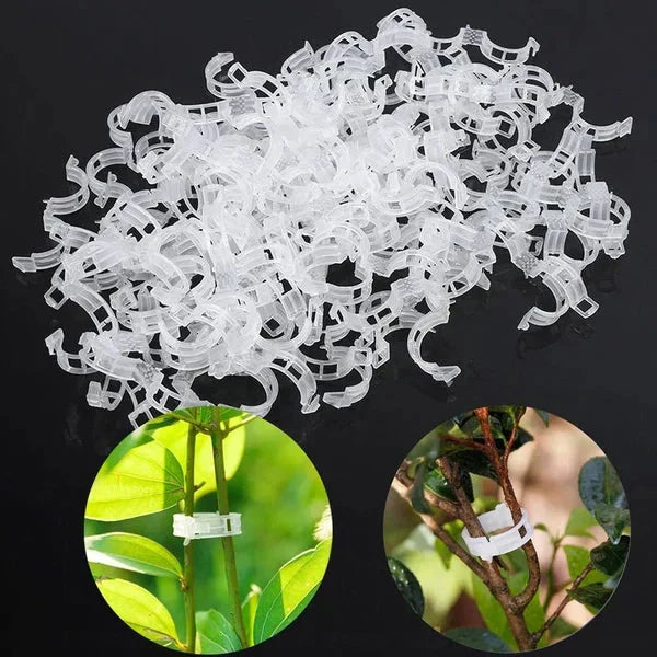 🗜️Clip per piante rampicanti – Fascette in plastica per pomodori e fermagli per piante 🌱🍅