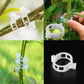 🗜️Clip per piante rampicanti – Fascette in plastica per pomodori e fermagli per piante 🌱🍅