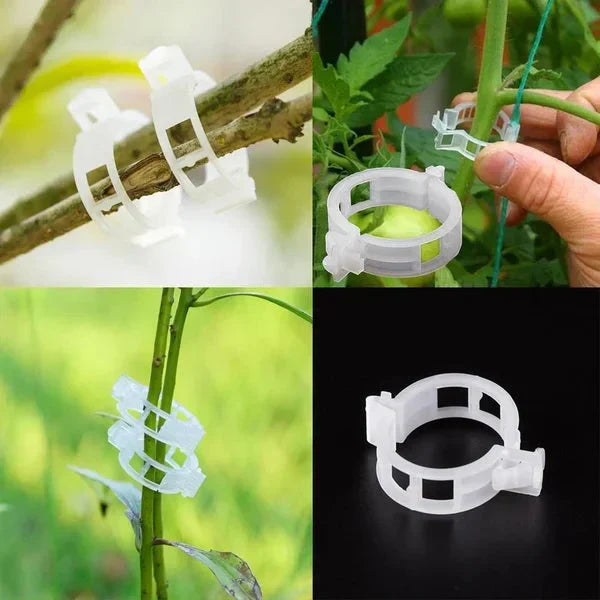 🗜️Clip per piante rampicanti – Fascette in plastica per pomodori e fermagli per piante 🌱🍅