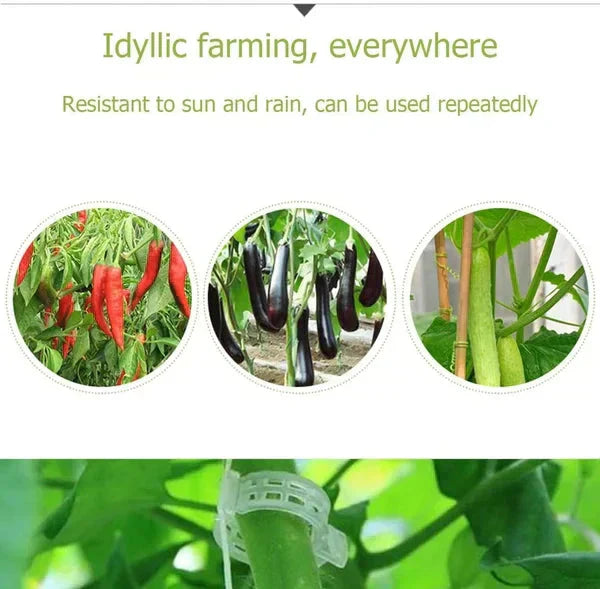 🗜️Clip per piante rampicanti – Fascette in plastica per pomodori e fermagli per piante 🌱🍅
