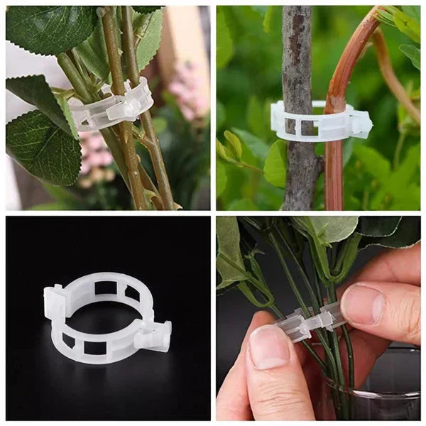 🗜️Clip per piante rampicanti – Fascette in plastica per pomodori e fermagli per piante 🌱🍅