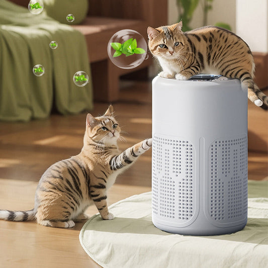 🌬️ SCONTO DEL 50% ! 🏠 Purificatore d'aria per la casa – Filtraggio multistrato, ampia copertura e funzionamento ultrasilenzioso ✨